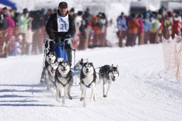 Lenk 2013